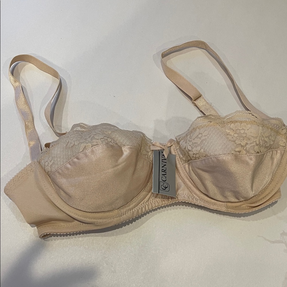 Carnival Lingerie Bra 32B Style 567 Neutral Beige (several sizes) underwire